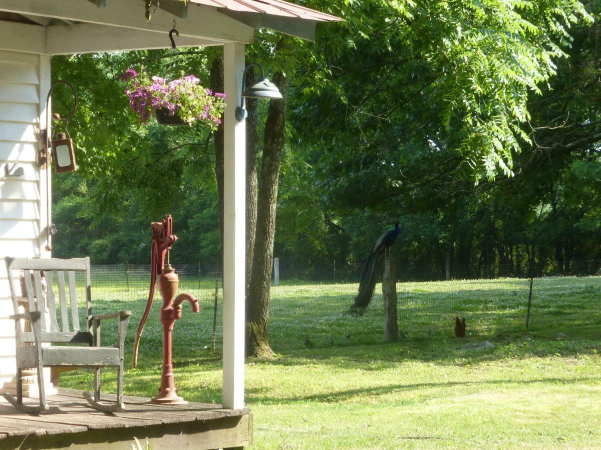 Mulberry Lavender Farm And B&B Экстерьер фото