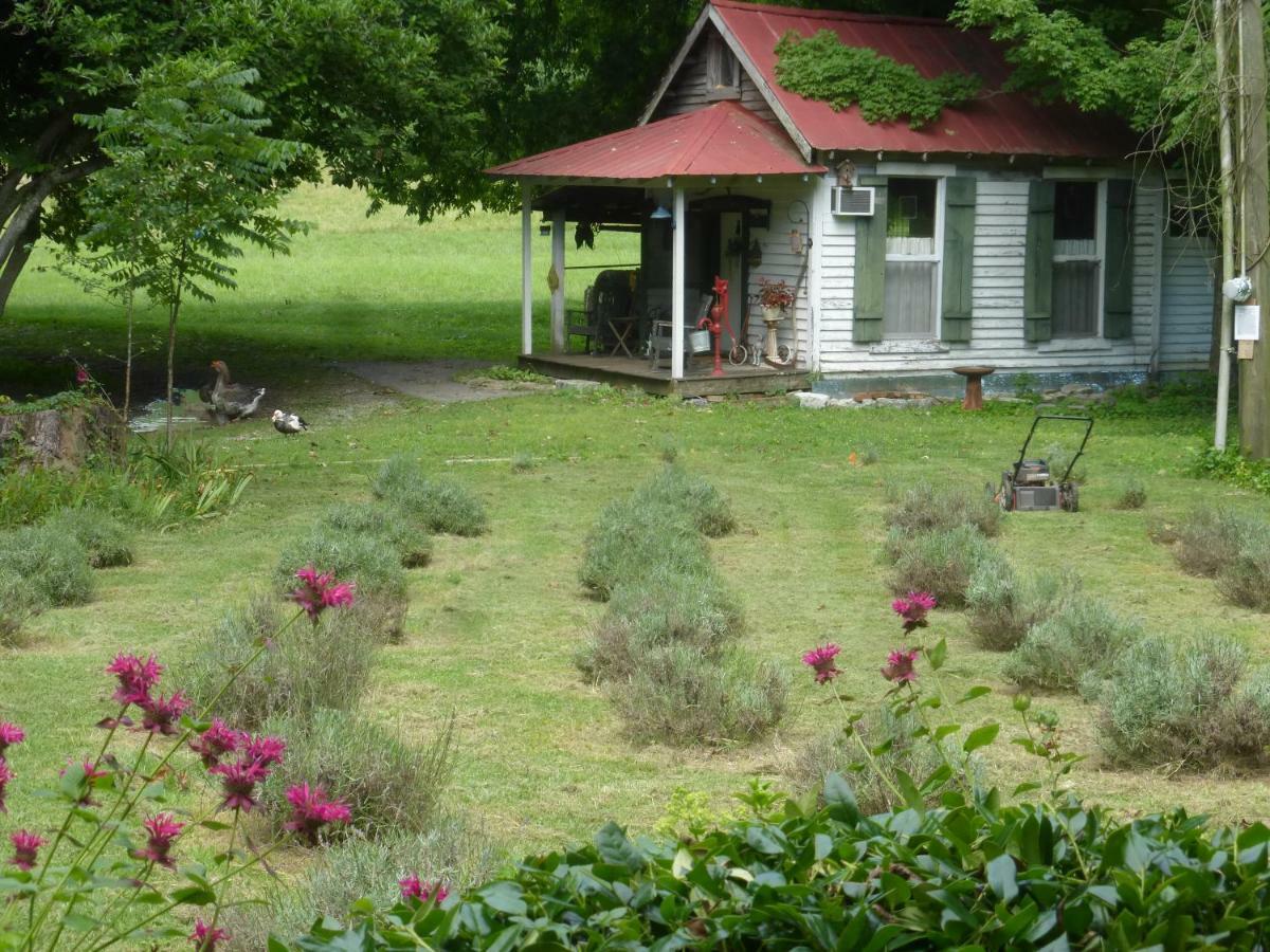 Mulberry Lavender Farm And B&B Экстерьер фото